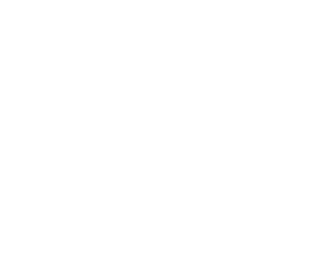 Logo SkiTruck